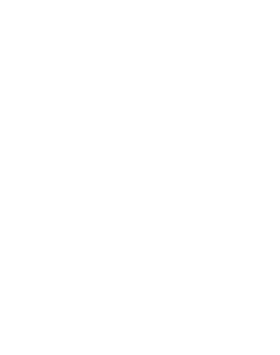 white United States Space Force logo